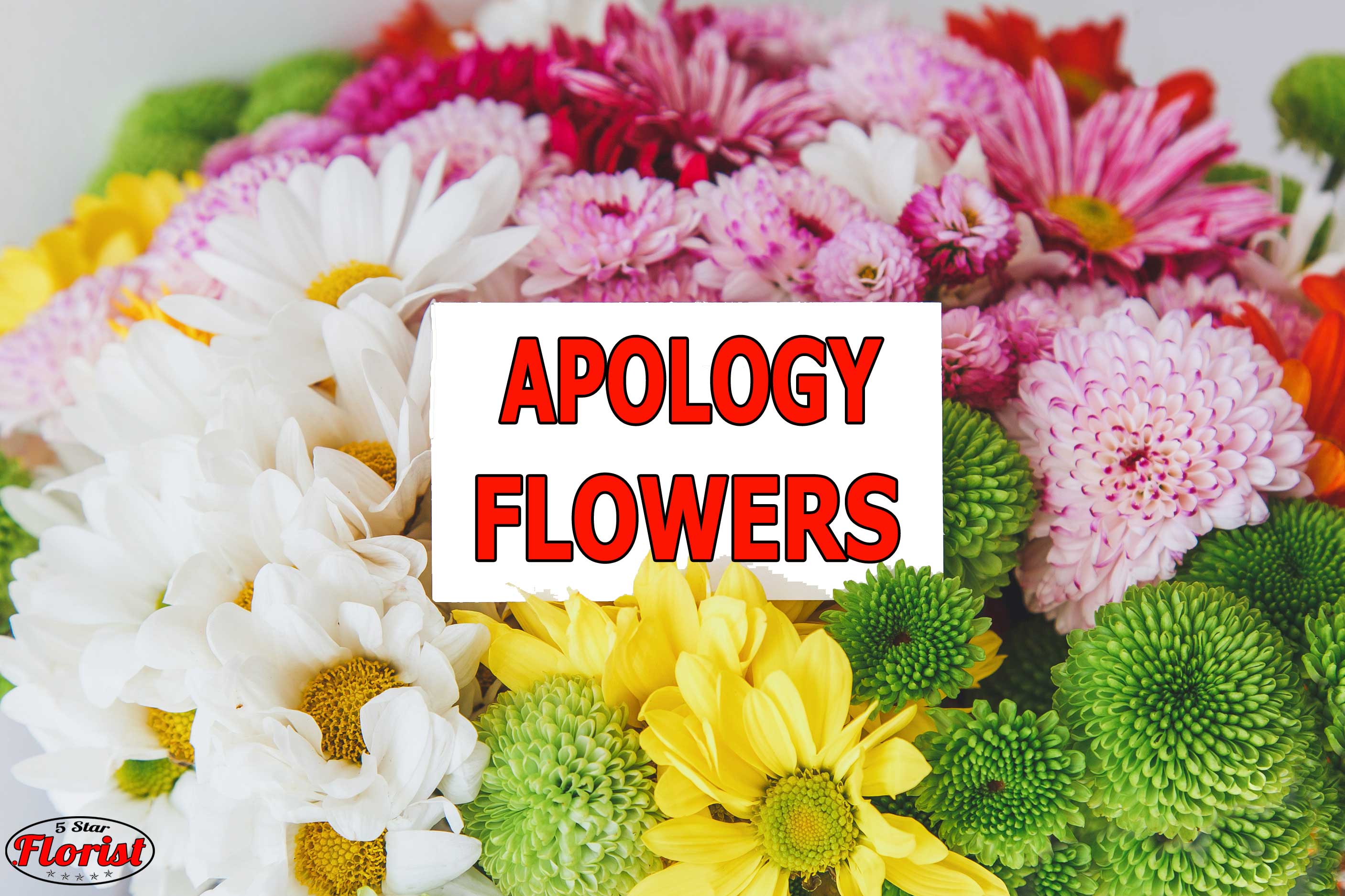 apology flowers Sacramento